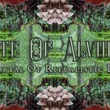 Flyer for The Gate of Alvheim Opens